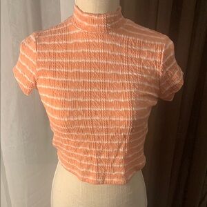 Pink and White Striped Crop